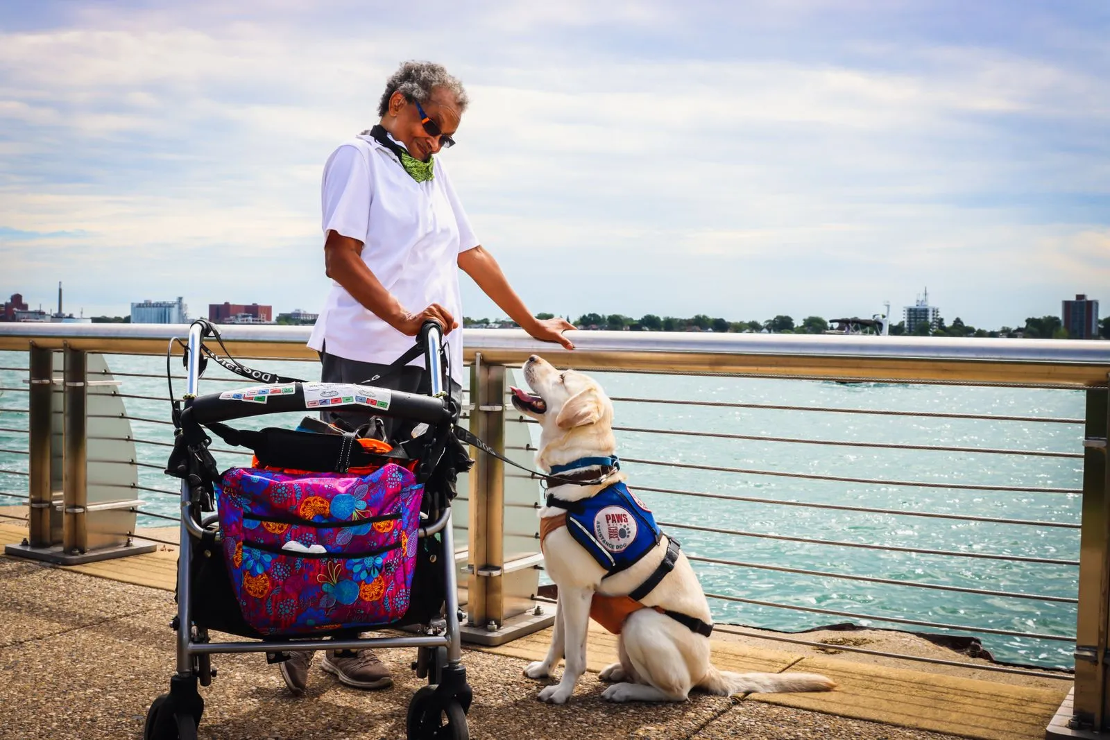 Questions to Ask Before Adopting a Pet With Extra Needs